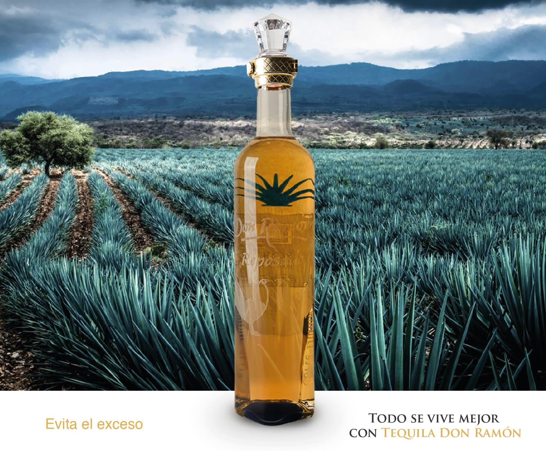 Ubicación de tequila personalizado en Tepatitlán Tequila Don Ramon