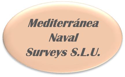 Mediterranea Naval Surveys S.L.