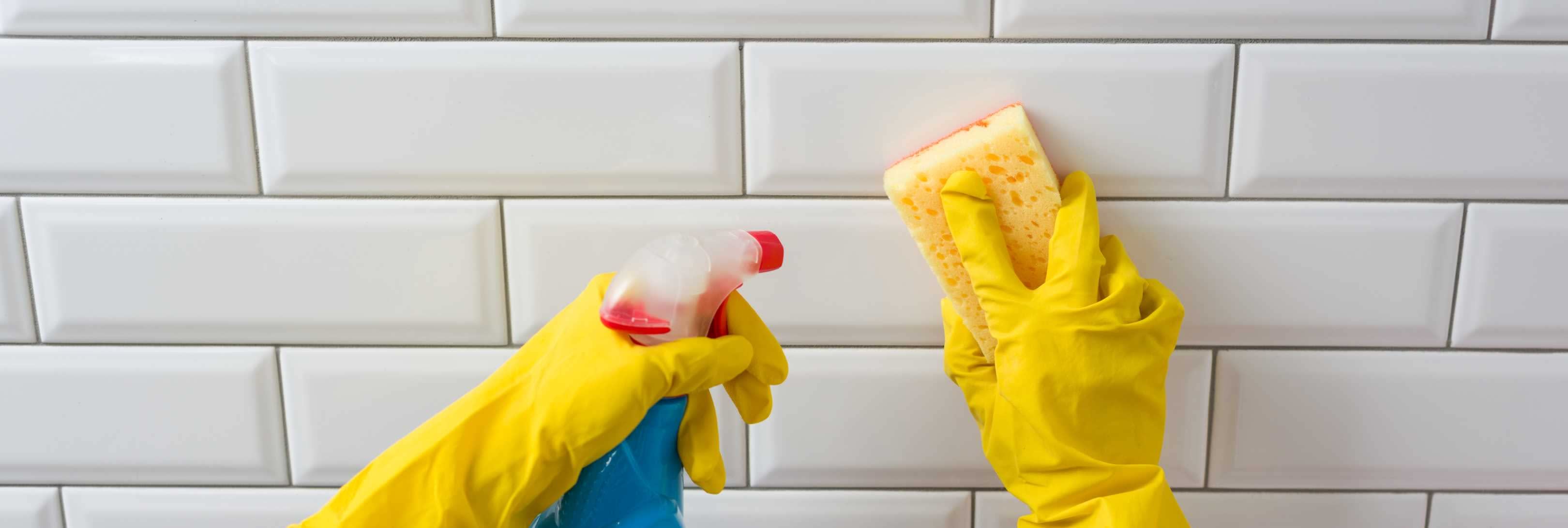 Vicky's House Cleaning Dallas Domestic Cleaner