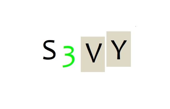 S3VY Tax Consultants