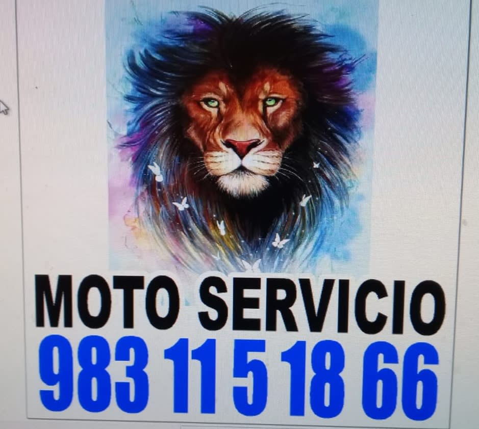 Moto Servicios Lion Force