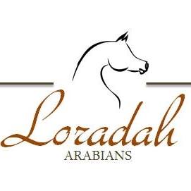 Loradah Arabians Hrr