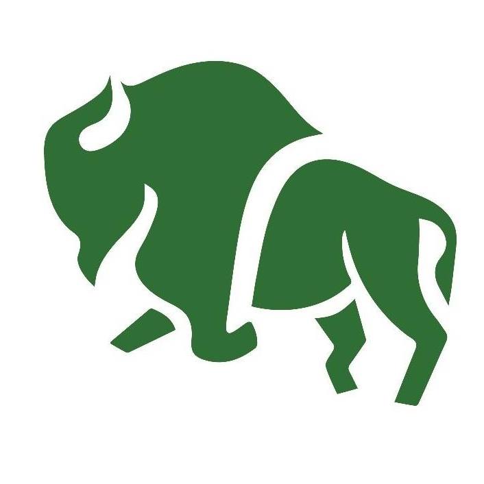 Green Bison Lawn Care