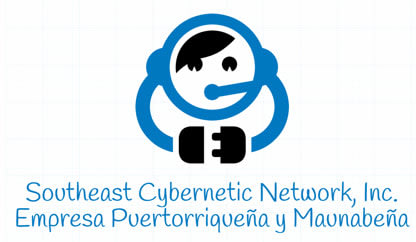 Southeast Cybernetic Network, Inc.