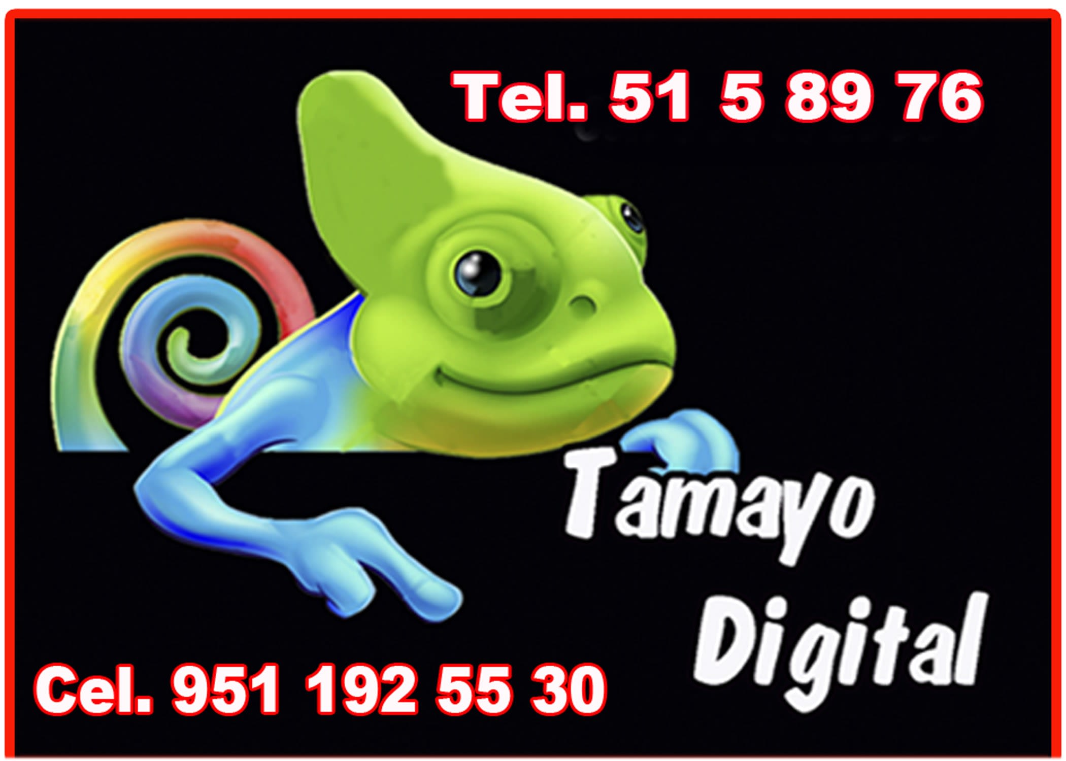 Tamayo Digital