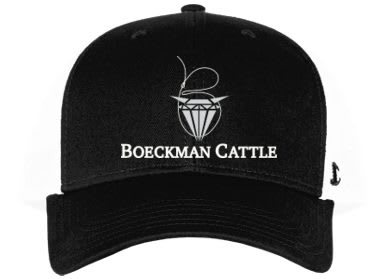 Boeckman Cattle