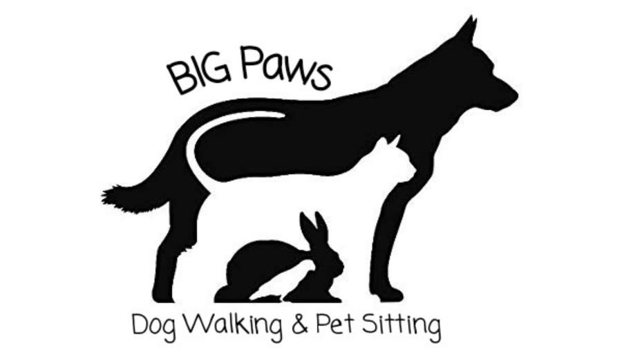 Big Paws Dog Walking