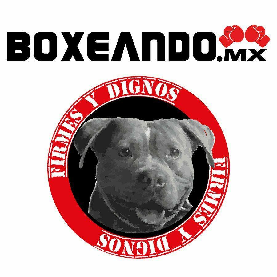 Boxeando Mx
