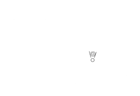 Brazos Valley Motorsports