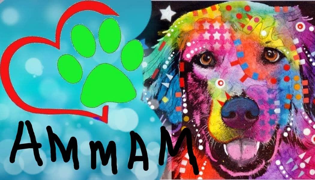 Ammam (Asociacion Mi Mejor Amigo Málaga)