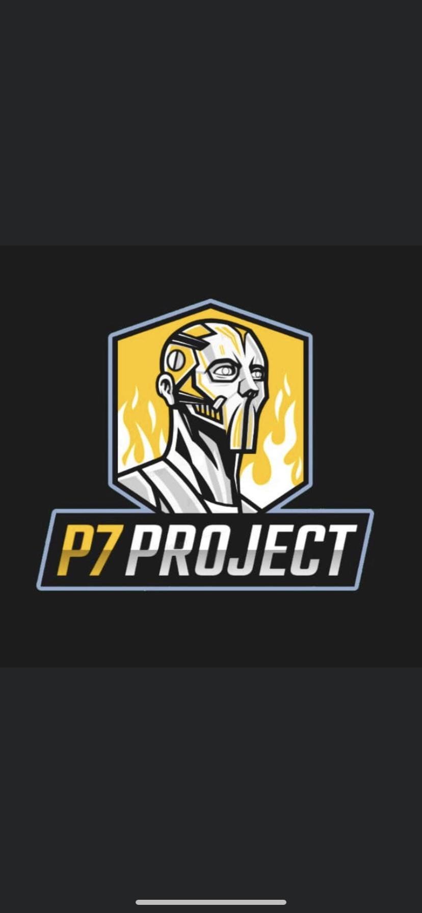 Project7 Gaming