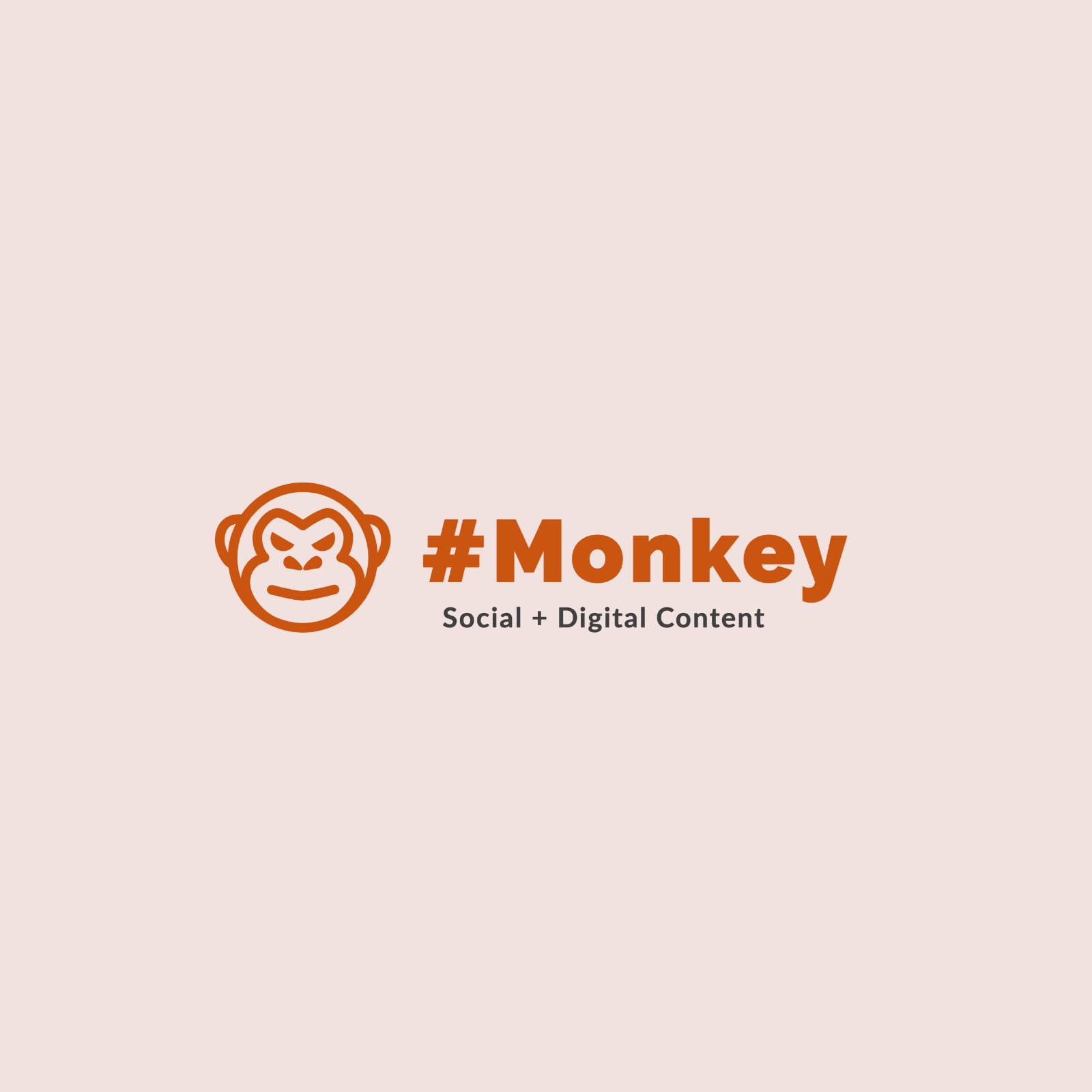 Monkey, Digital & Social Marketing