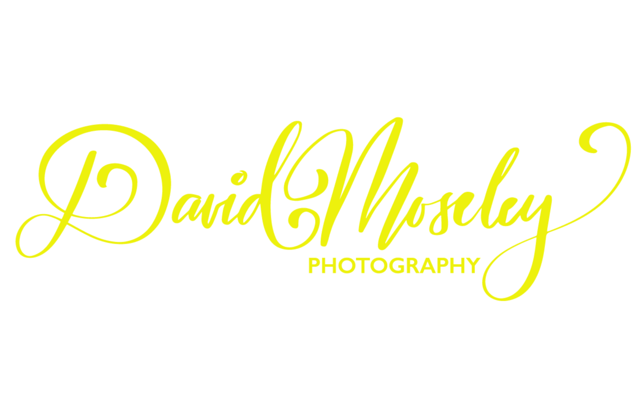 David Moseley Photography