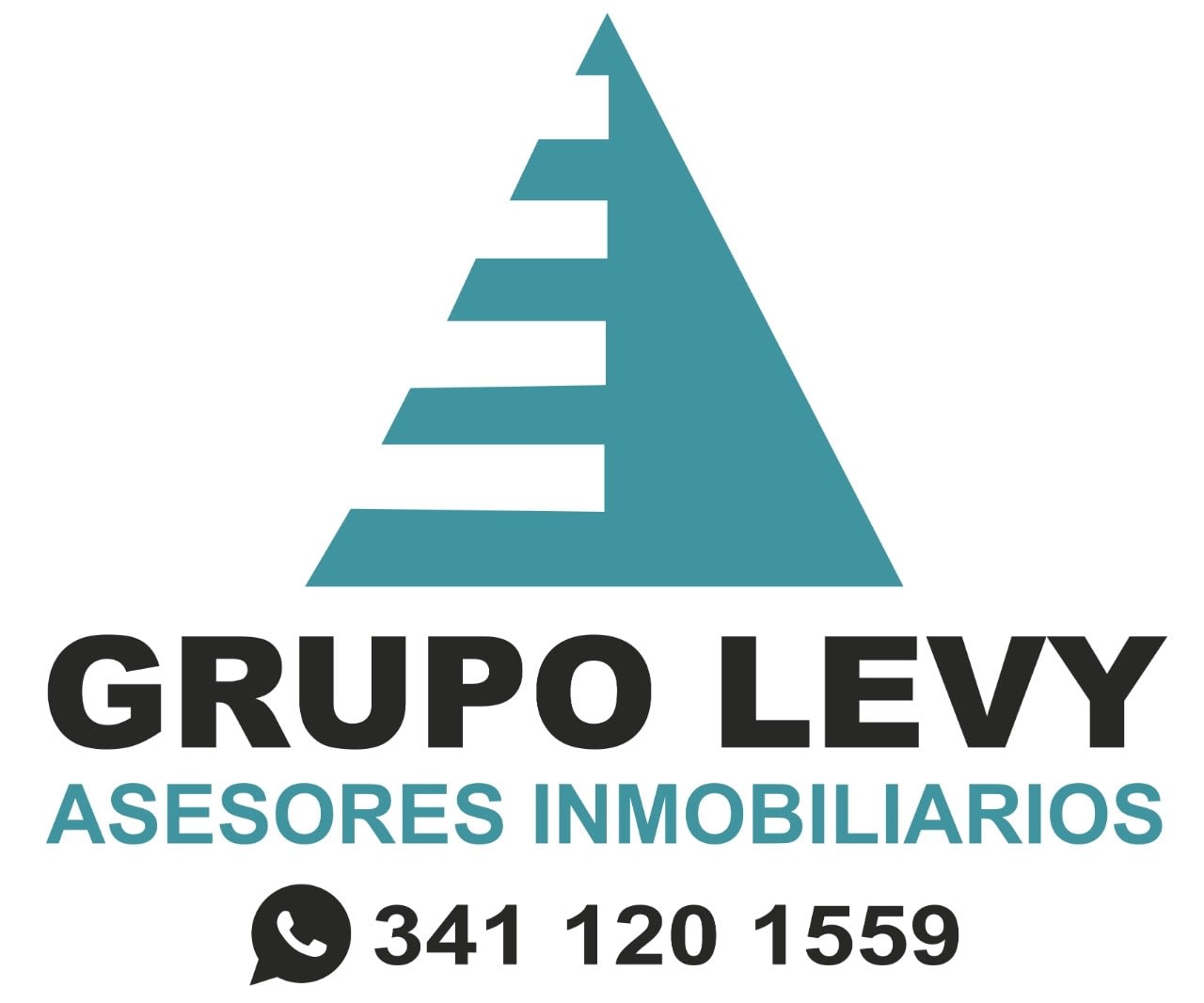 Grupo Levy