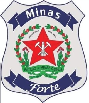 Minas Forte Terceirização e Conservação Ltda