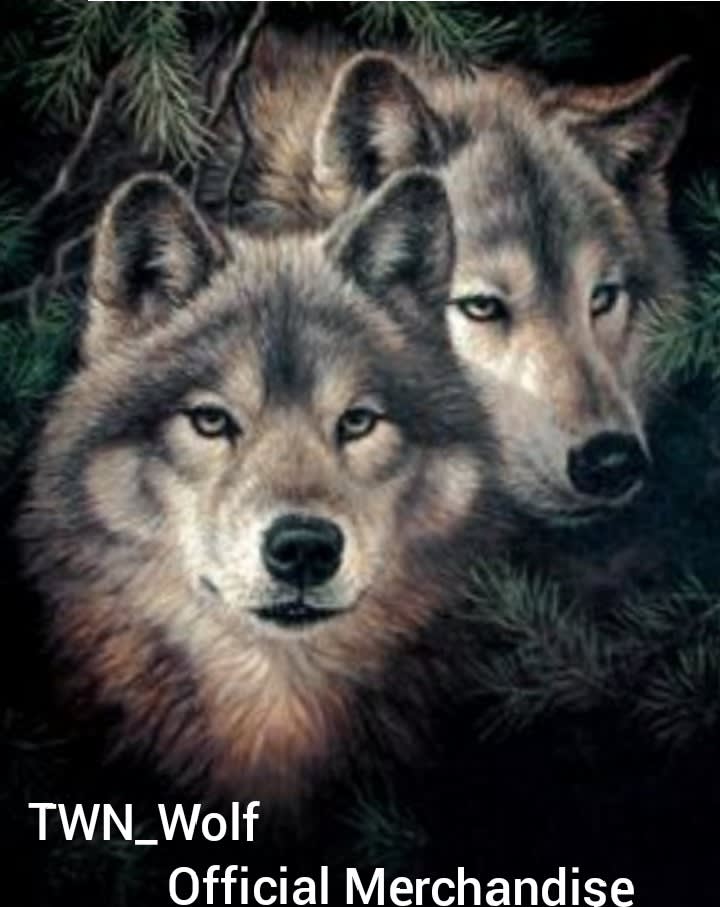 Twn Wolf