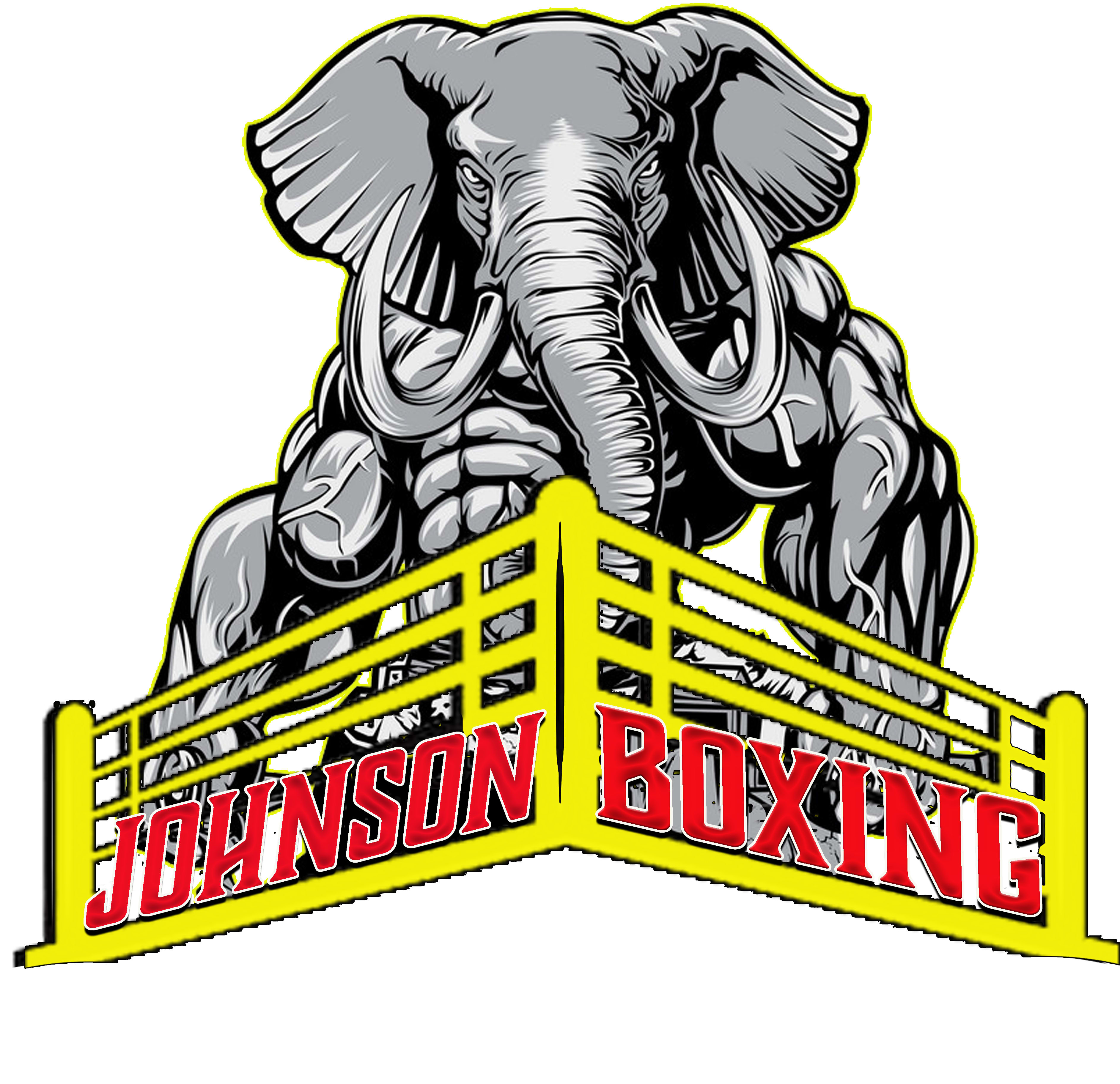 Johnson Boxing Training And Management