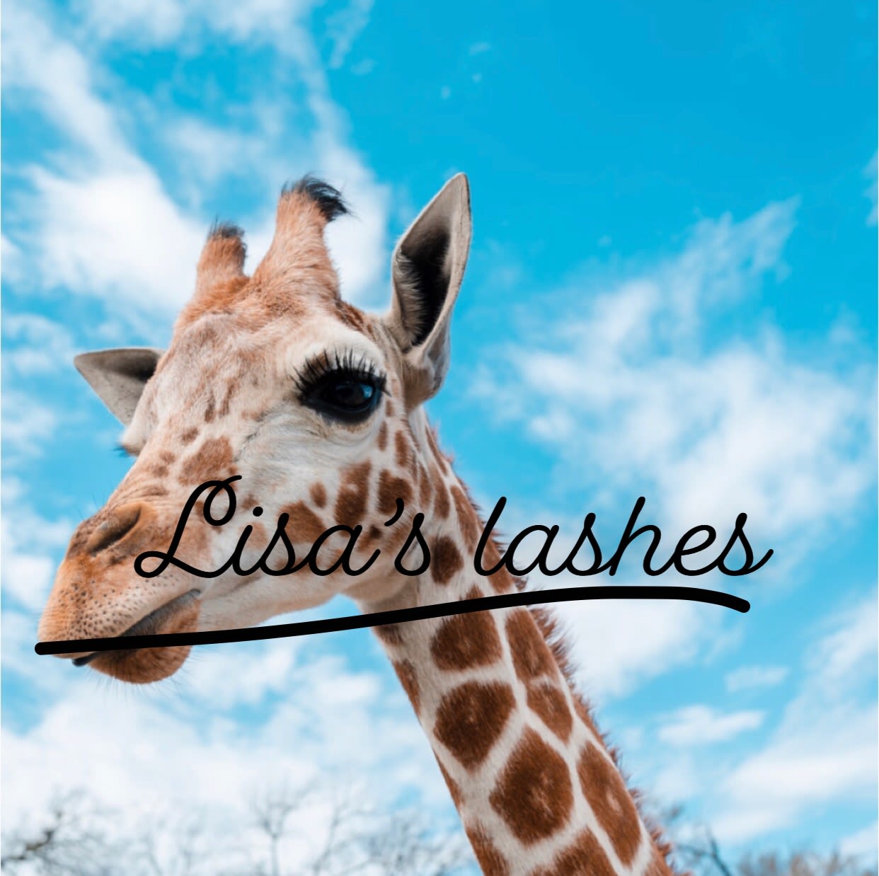 Lisa’s lashes