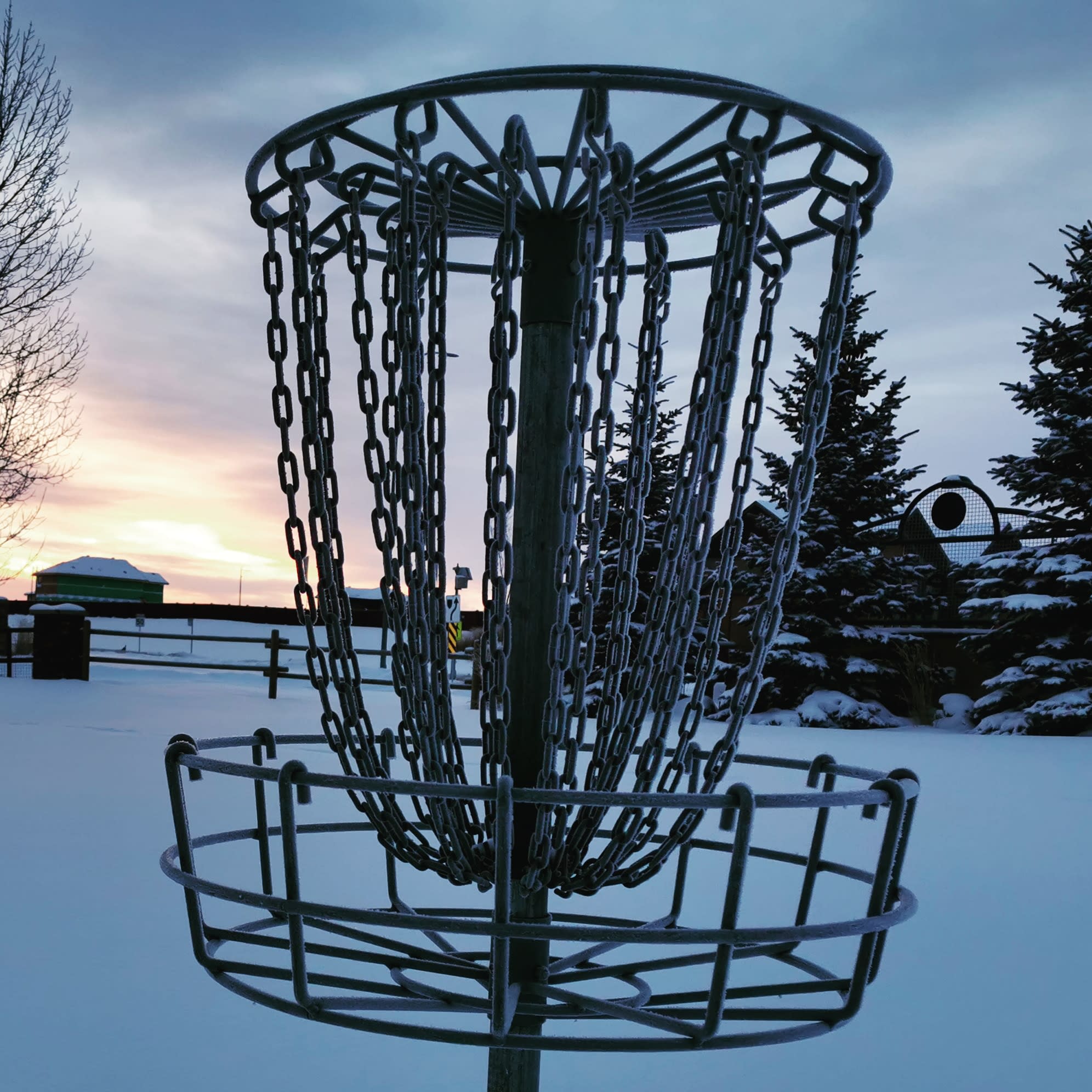 Spruce Grove Disc Golf