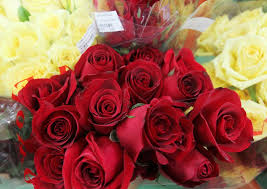 Valentine's Roses - Carnations Buy 1 Get 1 Free1 702.350.2800