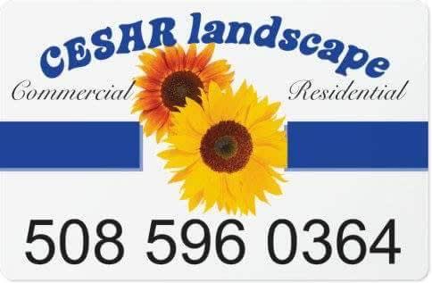 Cesar Landscaper