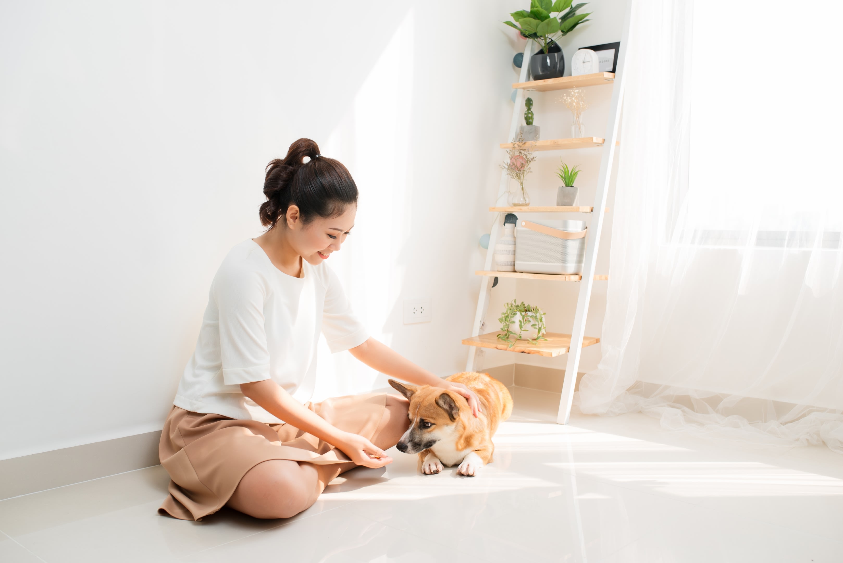 Morning Light Wellness, PLLC