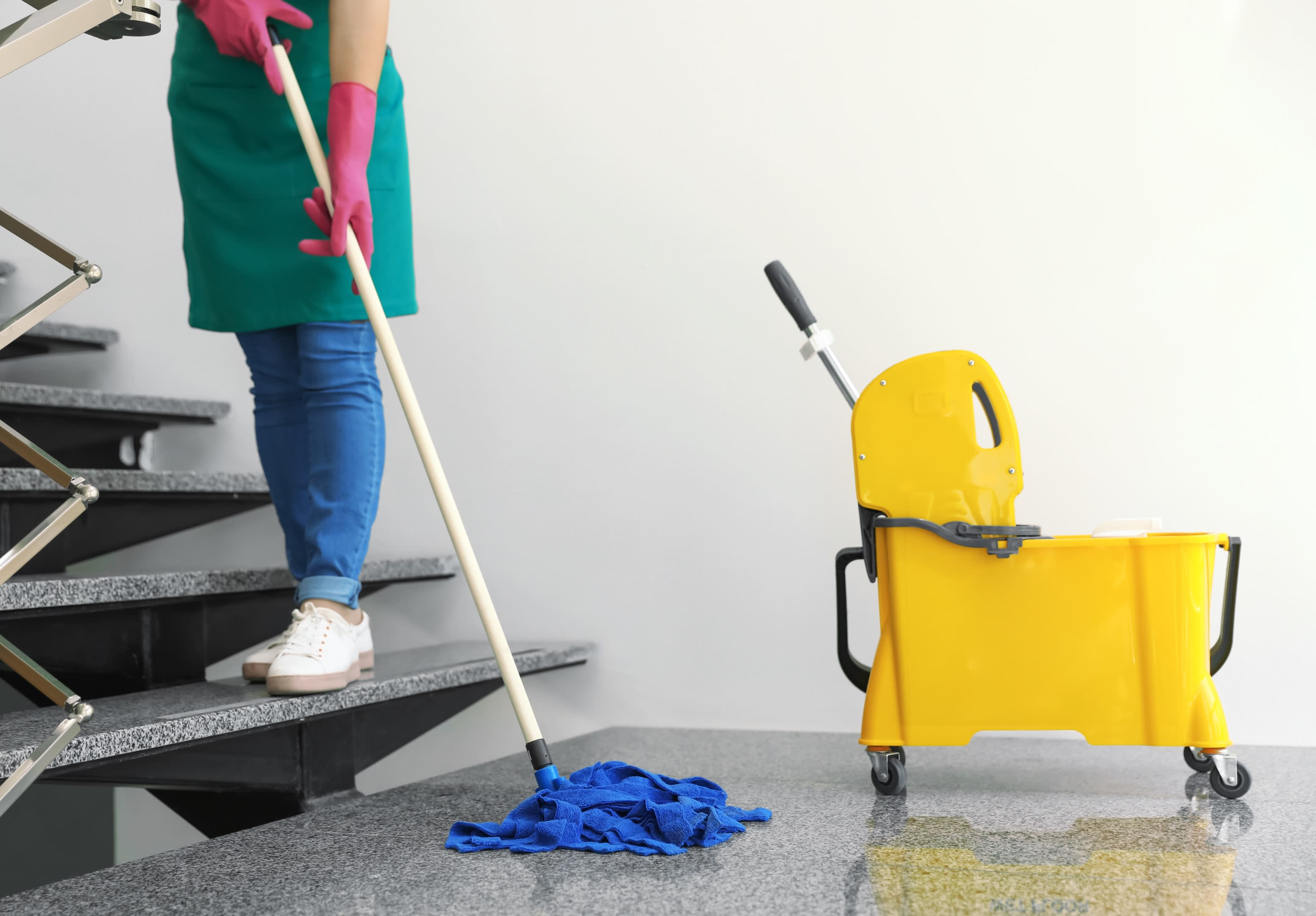 Next Level Cleanings - Domestic Cleaner | Charleston, SC