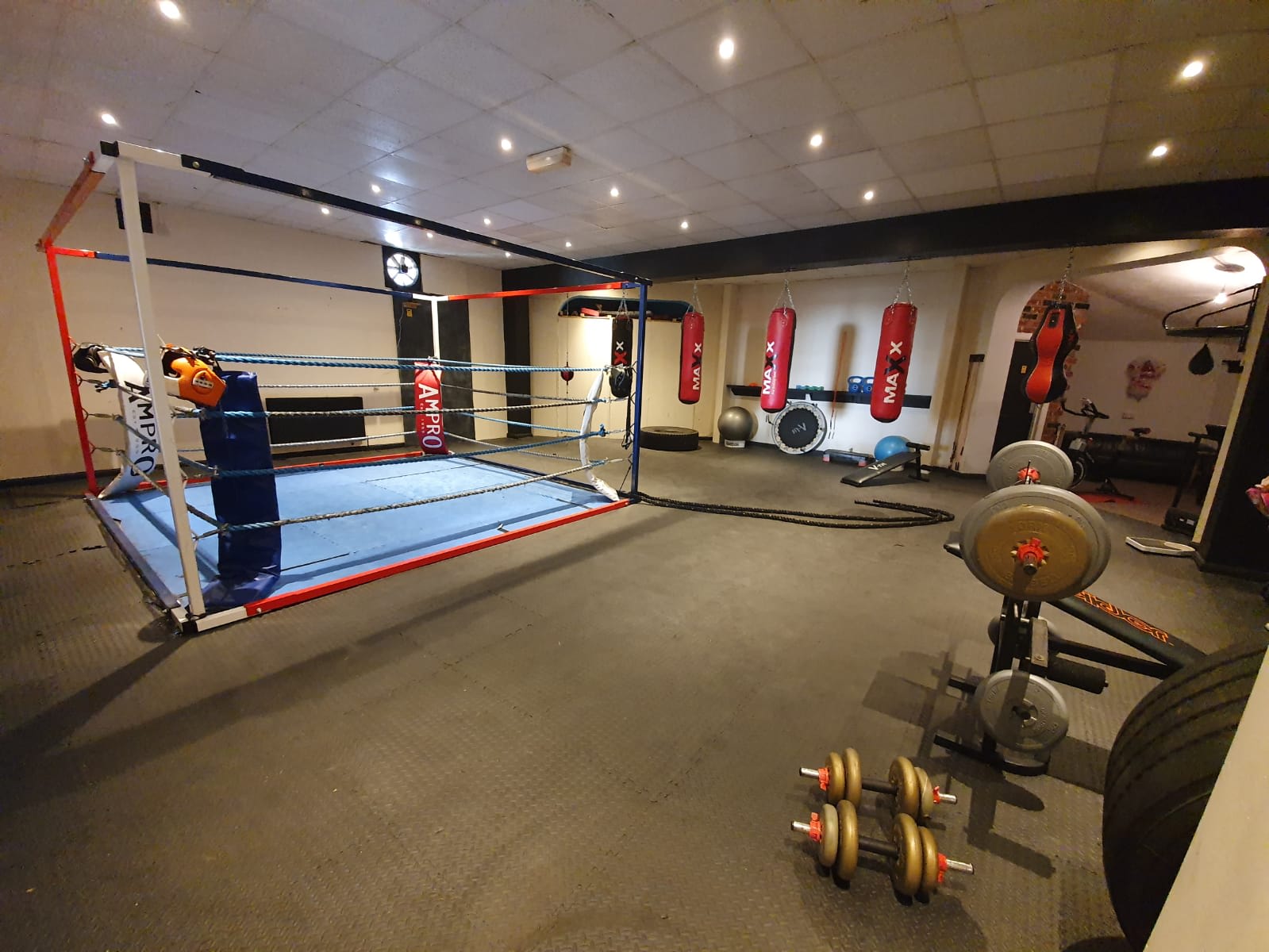 Basement boxing online gym