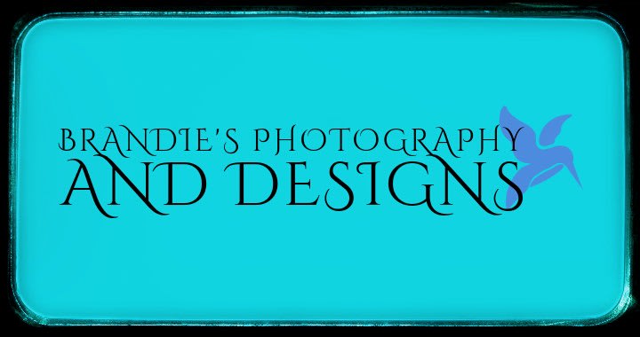 Brandie's Photography & Designs