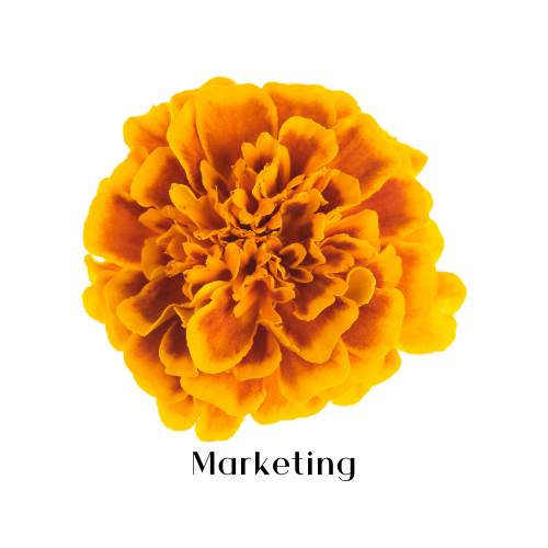 Mary Gold Marketing