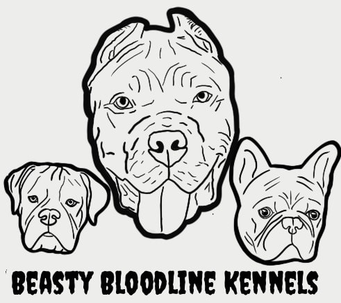 Beasty Bloodline Kennels
