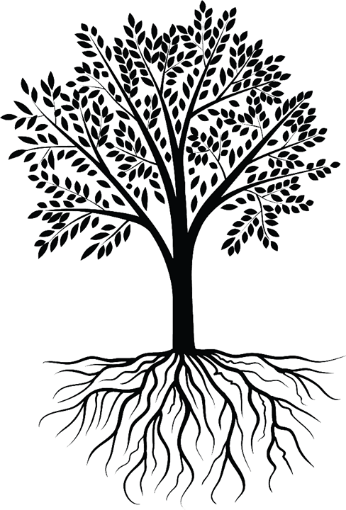 Deeper Roots Botanicals