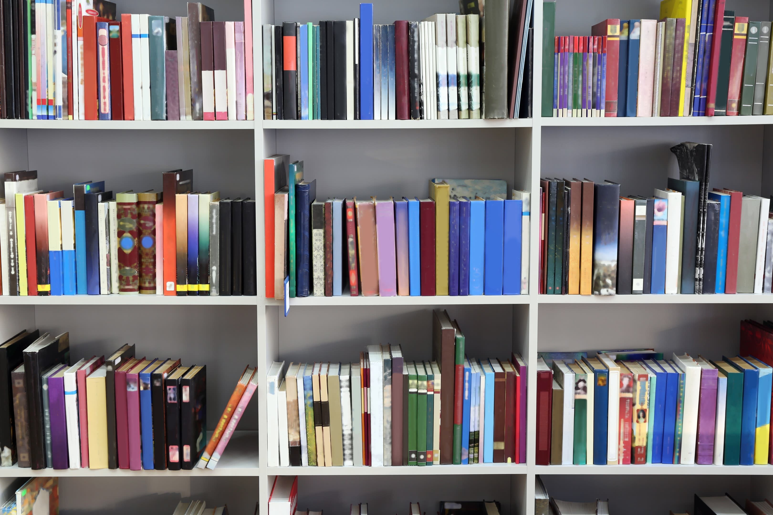 Organización y Bienestar