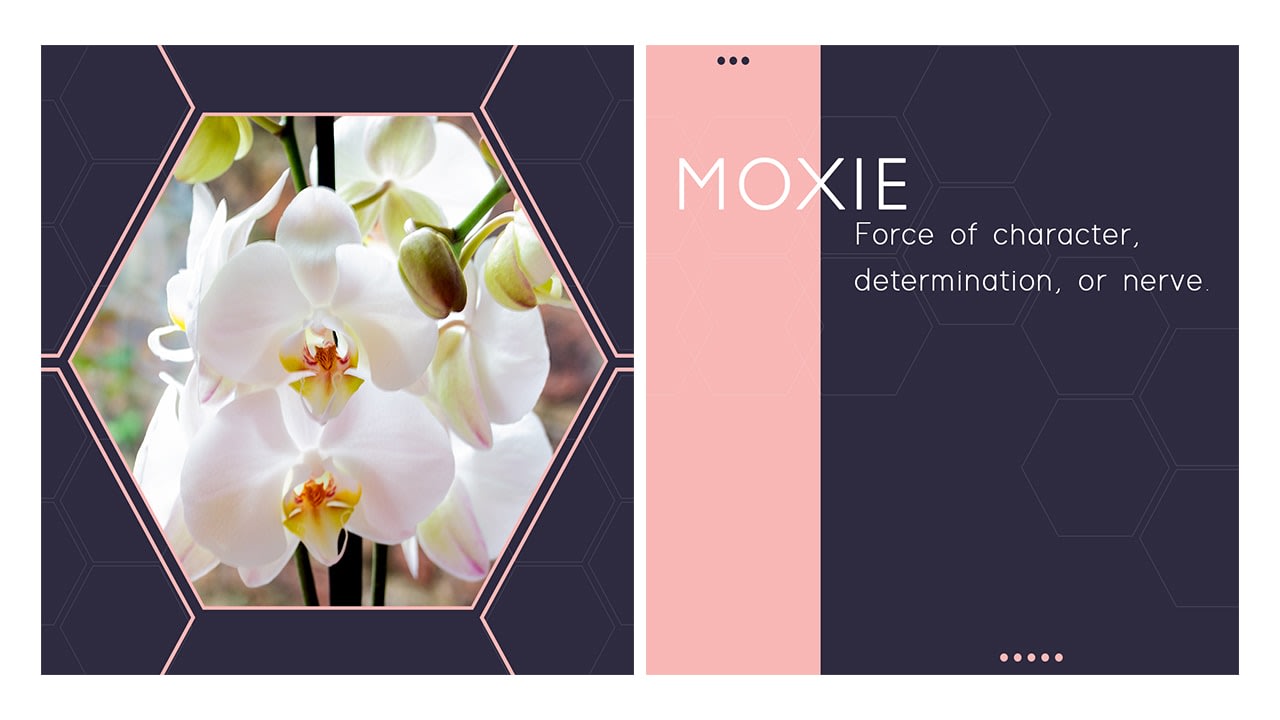 Moxie Grey Design