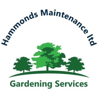 Hammonds Maintenance