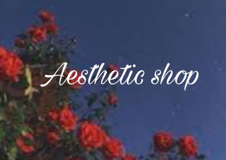 Aesthetic Shop