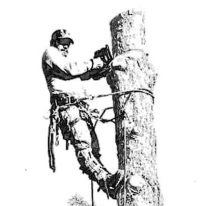 A.G.M. Tree Care
