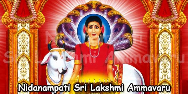 Sri Lakshmi Car Travels