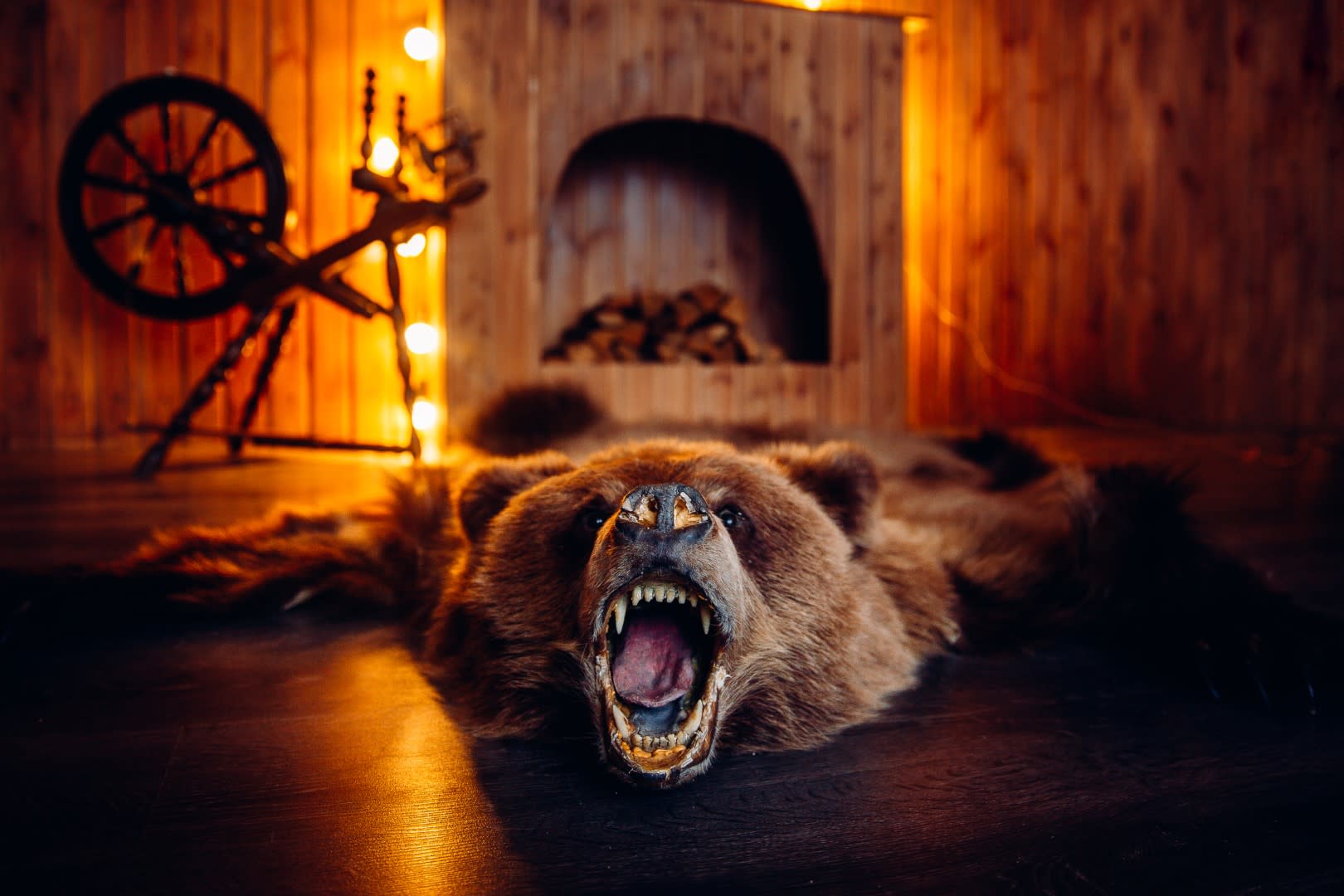 Dead Zoo taxidermy