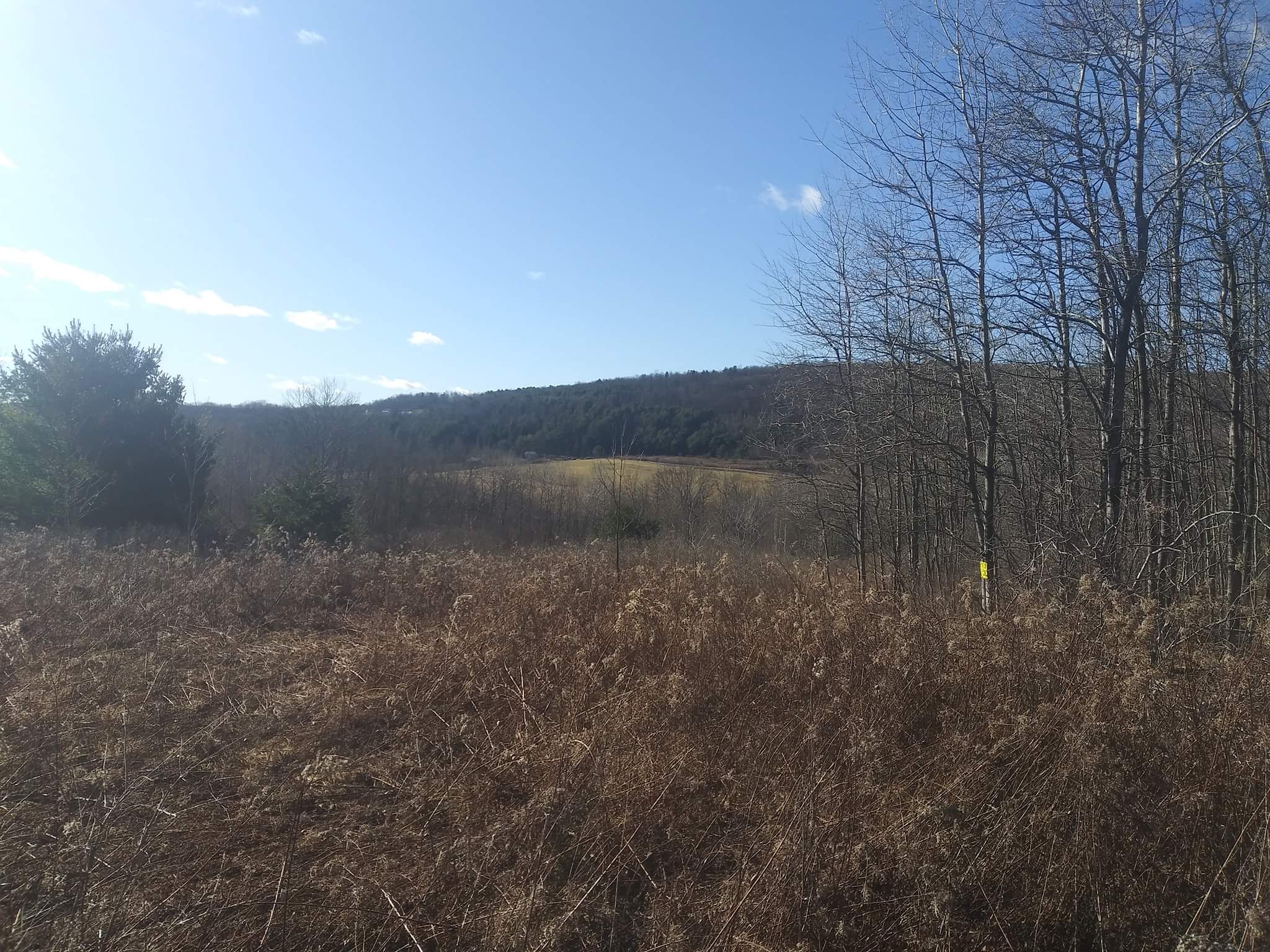 Commercial Farm Harvest Hill Farm