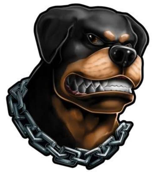 Brutus Artigos Militares e Acessórios