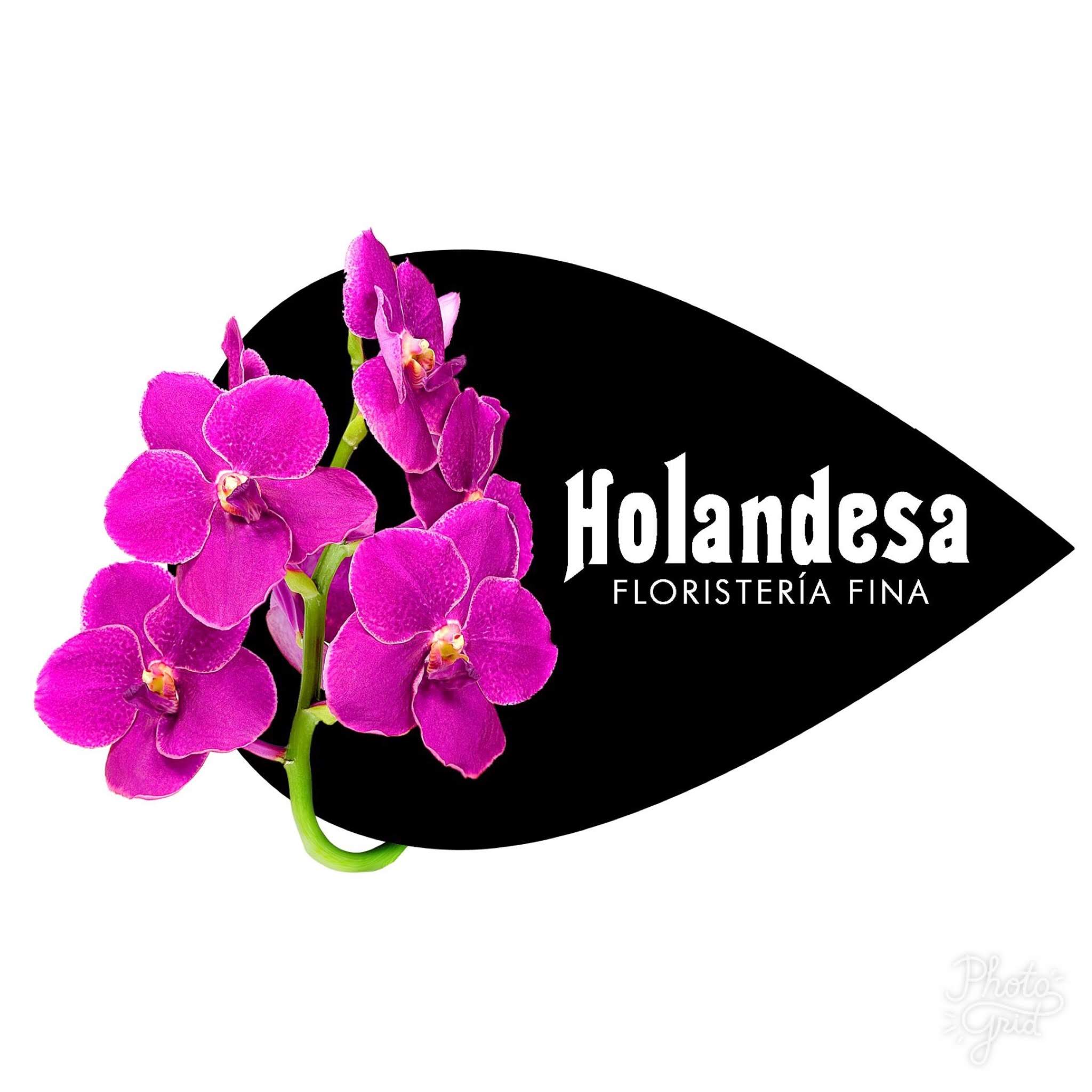 Holandesa Flores - Floreria | Cuernavaca
