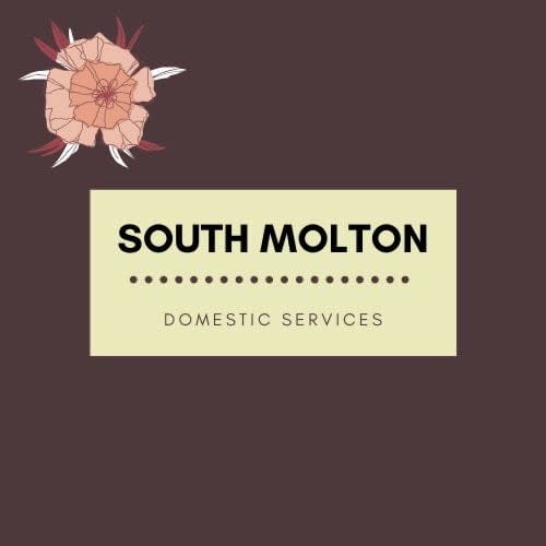 South Molton Domestic Services