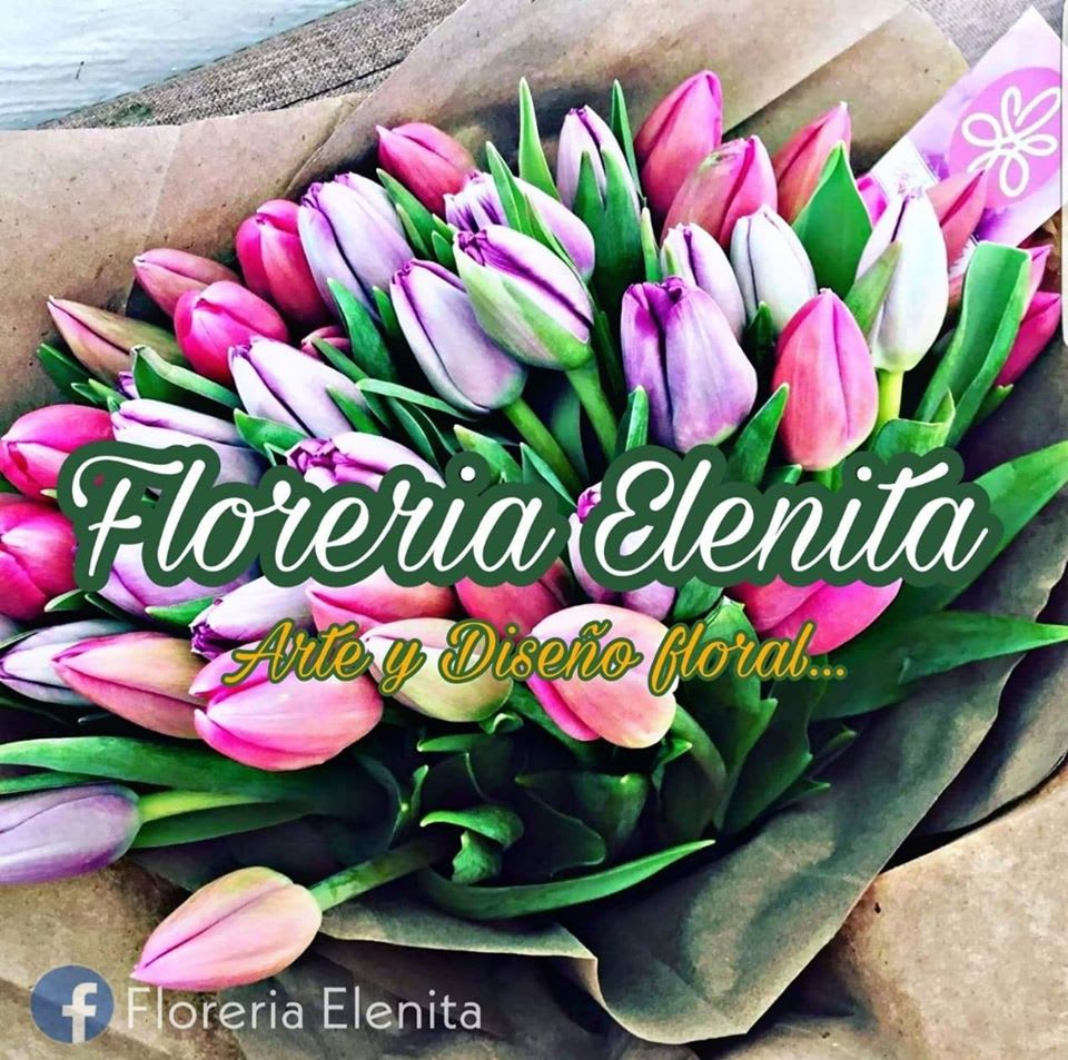 Florería Elenita