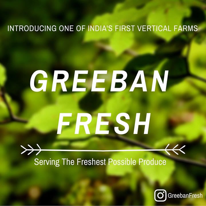 Greeban Fresh