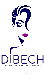 DIBECH