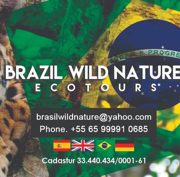Brasil Wild Nature