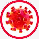 Coronavirus Survival