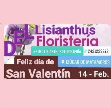 Lisianthus Floristería
