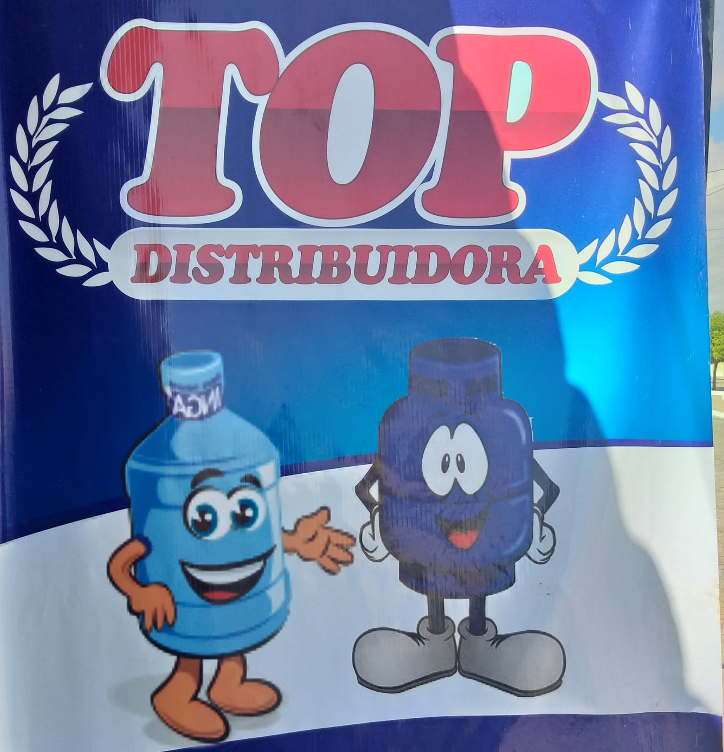 Top Distribuidora